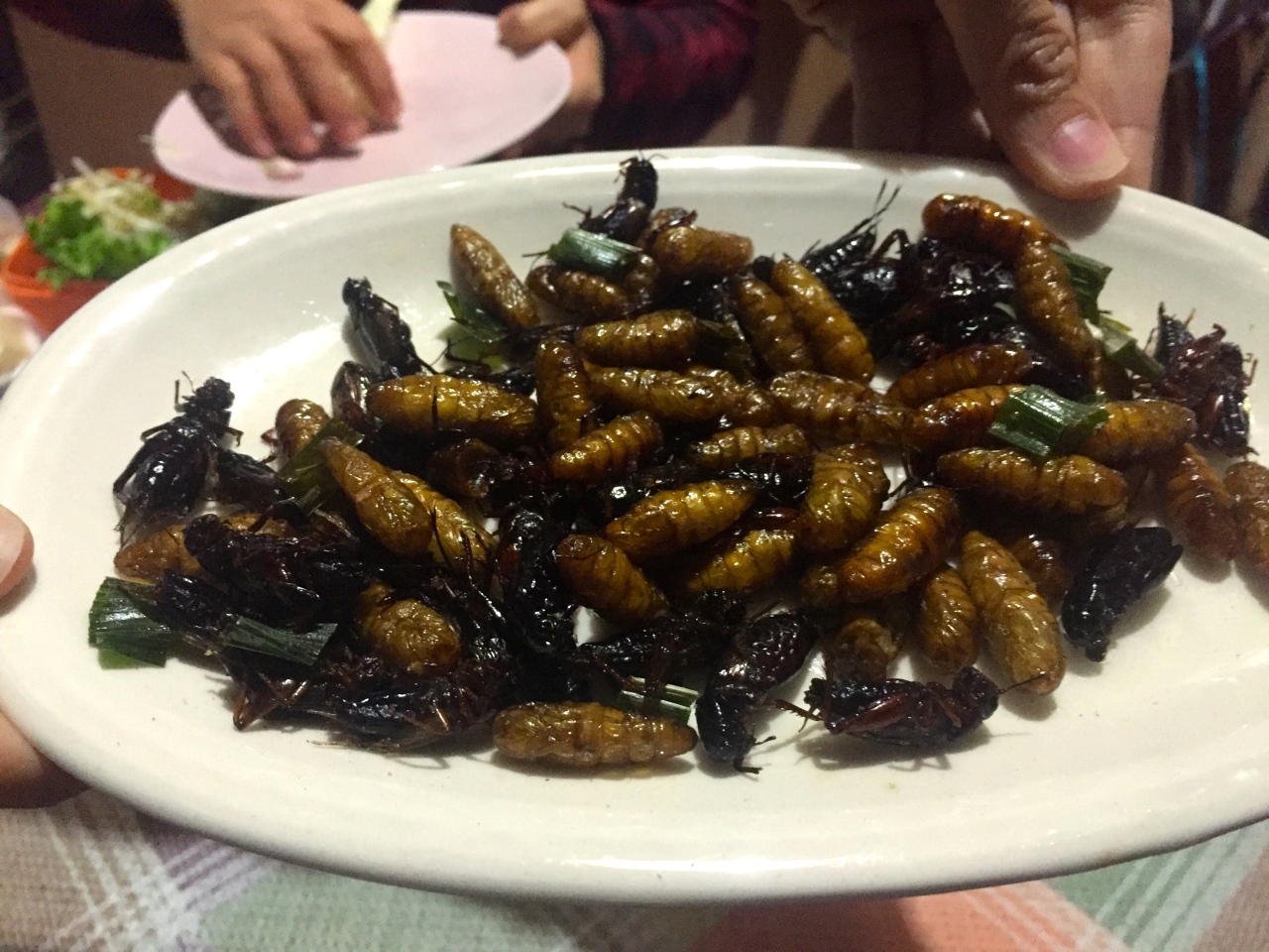 Crickets and silkworms for dinner in Phan